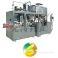 Uht Beverage Packing Machine (BW-2500B)